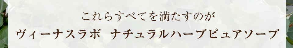 炷ׂĂ𖞂̂B[iX{  i`n[usA\[v