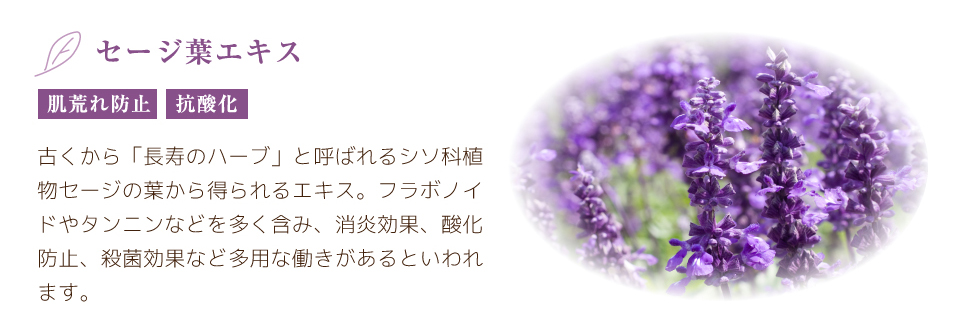 Z[WtGLXirh~ /R_jcÂũn[uvƌĂ΂V\ȐAZ[W̗t瓾GLXBt{mCh^jȂǂ𑽂܂݁AʁA_h~AEیʂȂǑpȓƂ܂B