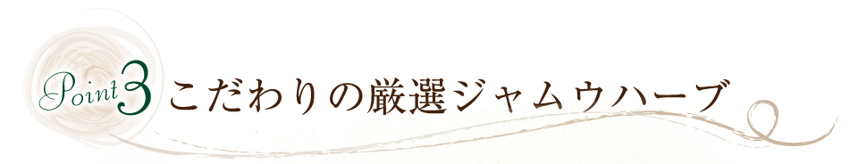 Point3 ̌IWEn[u