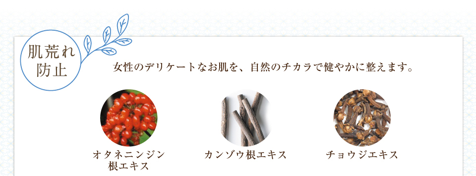 yrh~ziI^ljWGLX/`EWGLX/J]EGLXjc̃fP[gȂAR̃`JŌ₩ɐ܂B