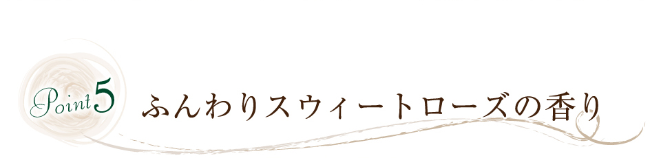 Point5 ӂXEB[g[Y̍
